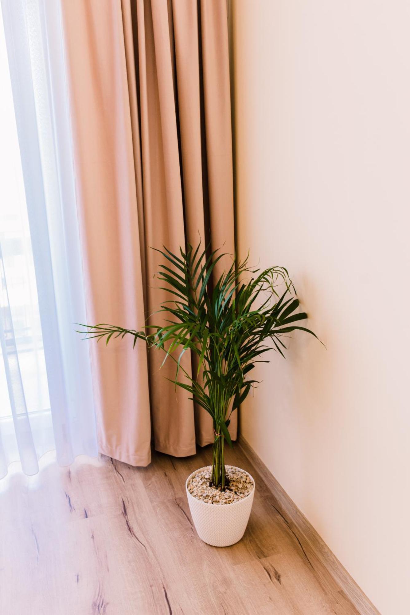 Central White Apartment Satu Mare Dış mekan fotoğraf