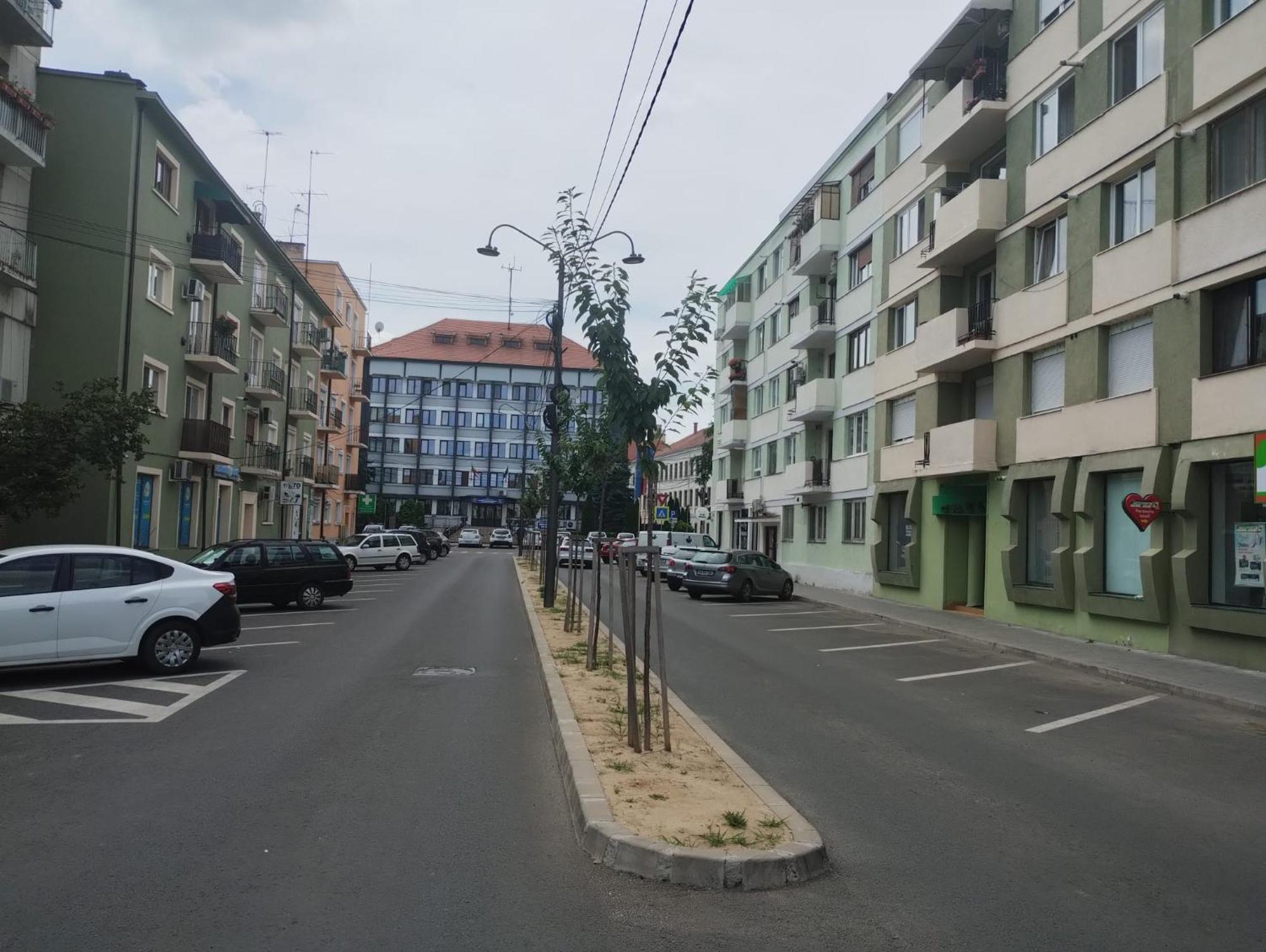 Central White Apartment Satu Mare Dış mekan fotoğraf